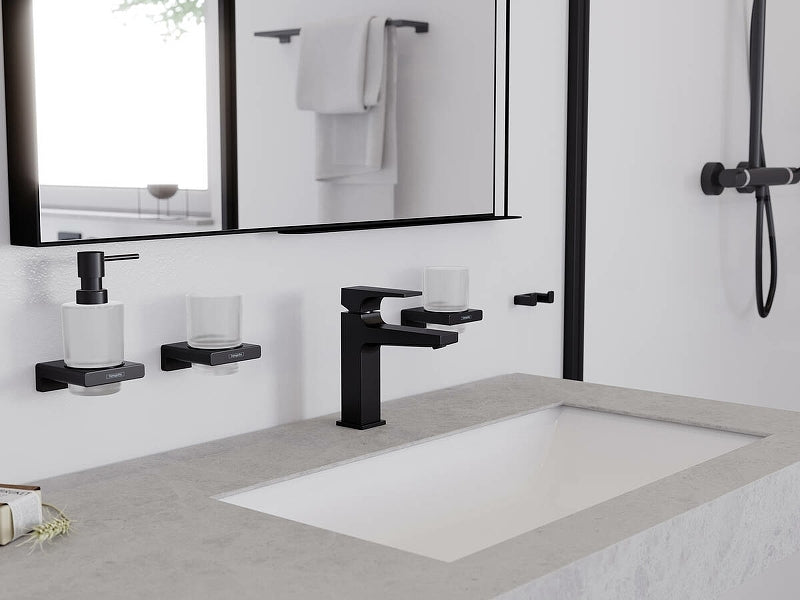 
                  
                    hansgrohe 漢斯格雅 AddStoris 多色 衣勾 雙衣鉤 毛巾鉤 41755
                  
                